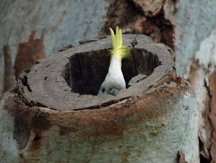 Прикольные картинки (100 фото)