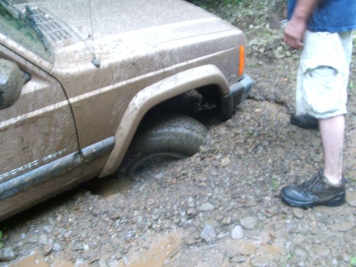 Прикольные картинки (100 фото)