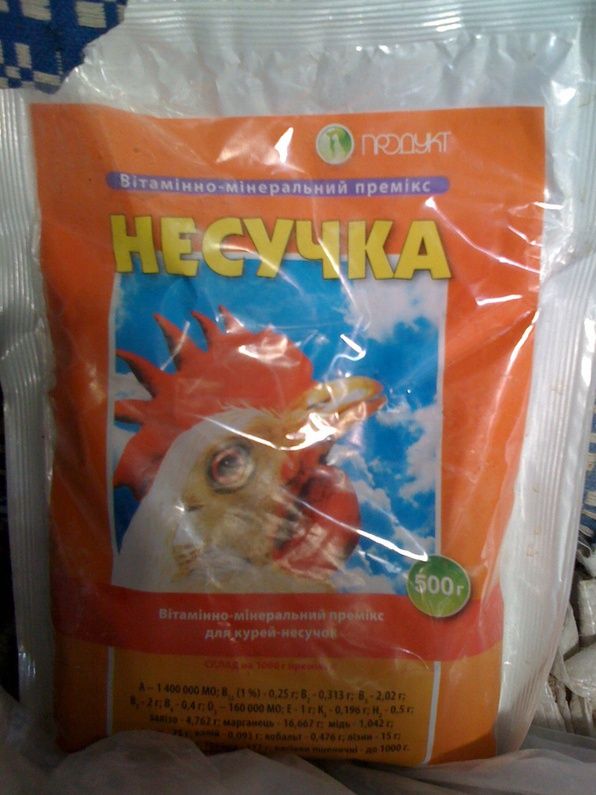 Прикольные картинки (100 фото)