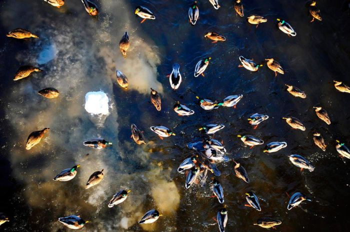 Прикольные картинки (100 фото)