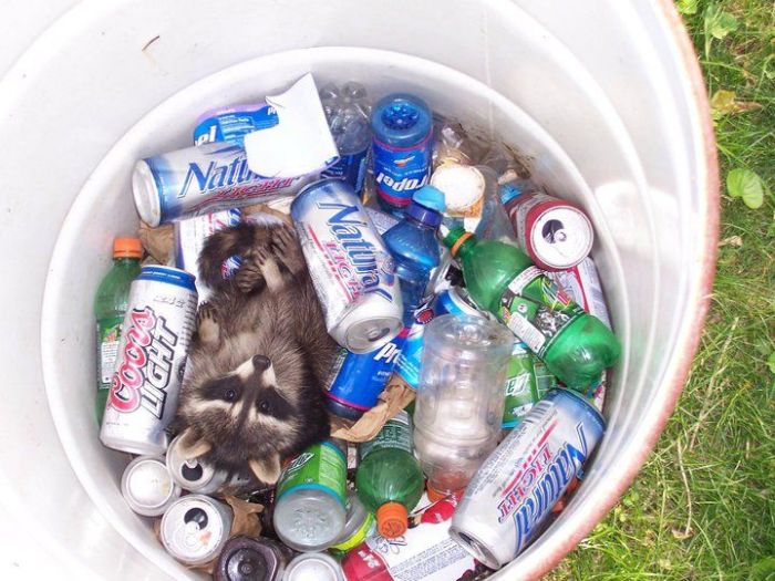 Прикольные картинки (93 фото)