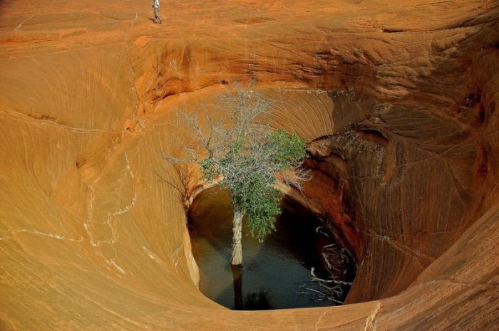 Прикольные картинки (93 фото)