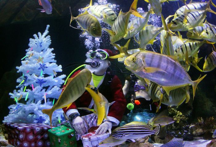 Прикольные картинки (121 фото)