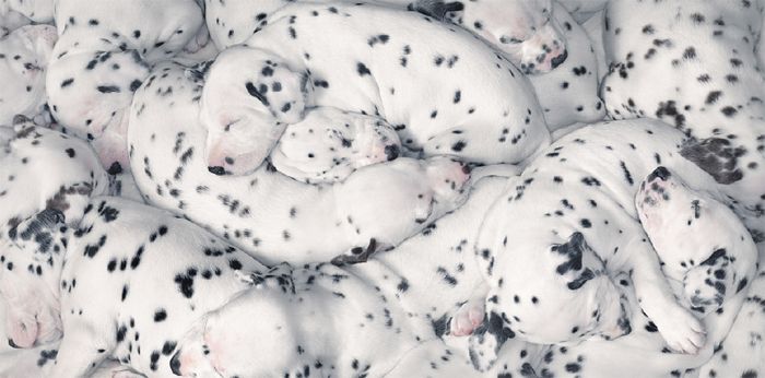 Прикольные картинки (121 фото)