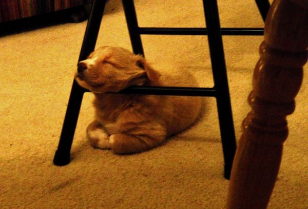 Прикольные картинки (99 фото)