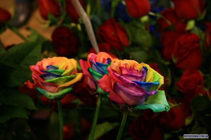 Радужные розы (13 фото)