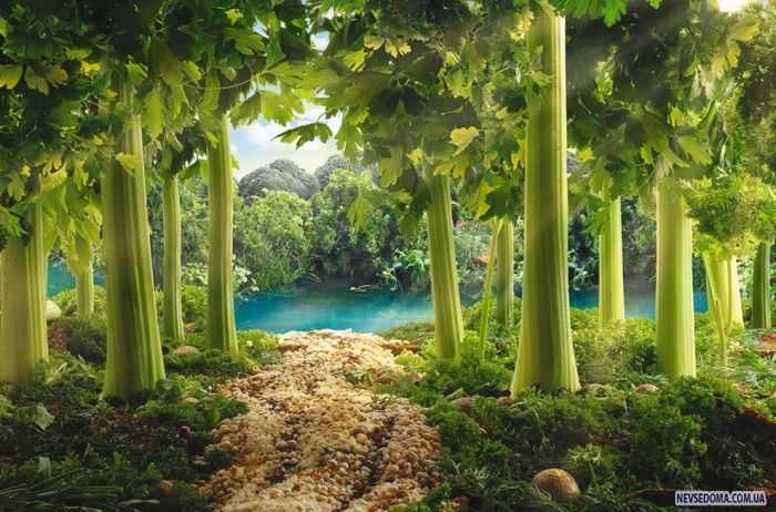 Потрясающие фотографии еды (8 фото)