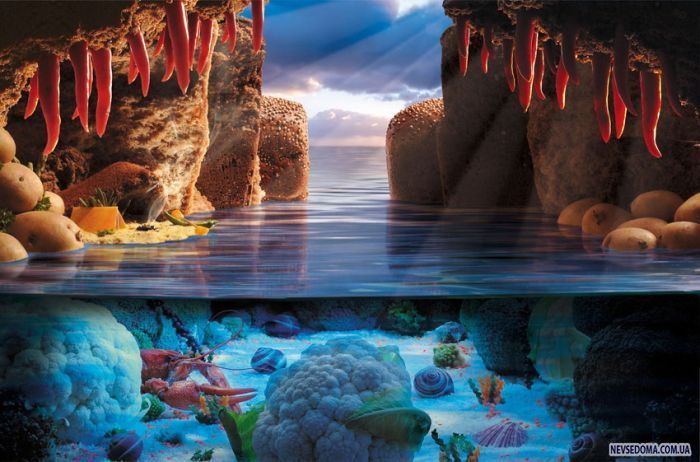 Потрясающие фотографии еды (8 фото)