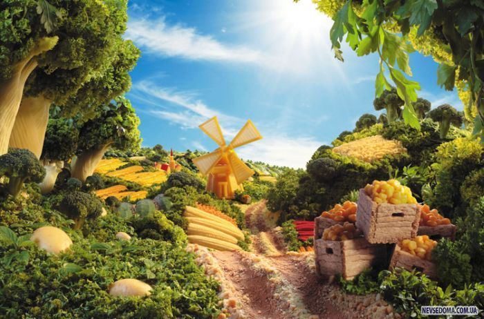 Потрясающие фотографии еды (8 фото)