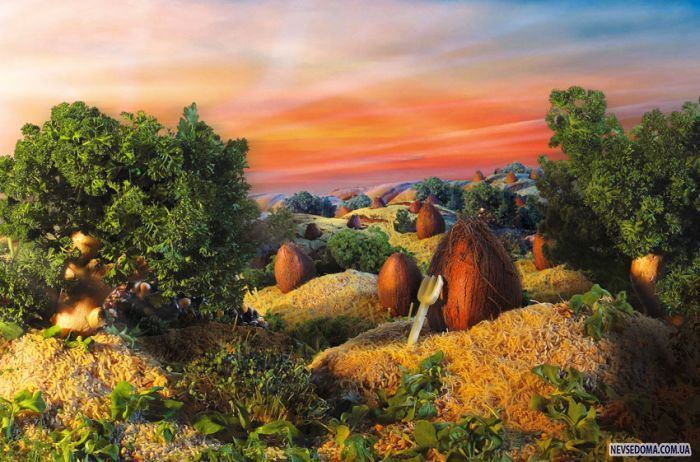 Потрясающие фотографии еды (8 фото)