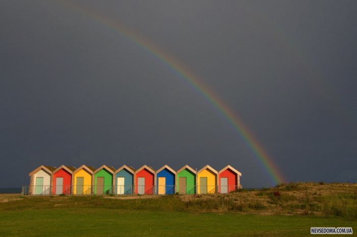 Прикольные картинки (228 фото)