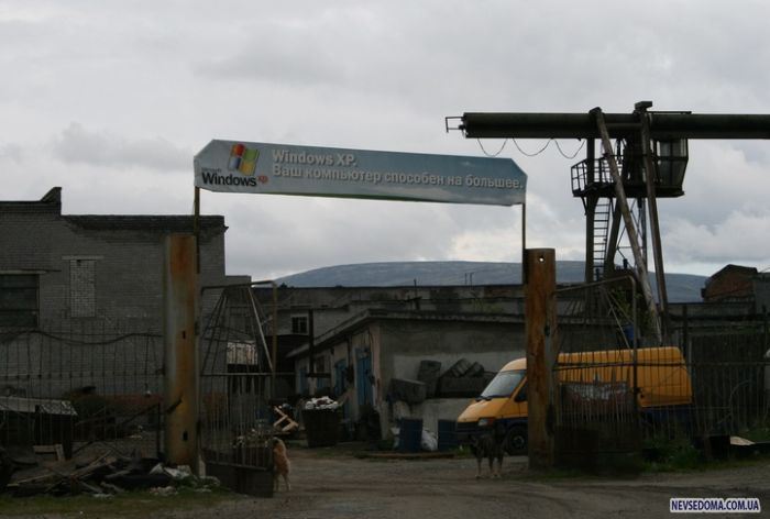 Прикольные картинки (228 фото)