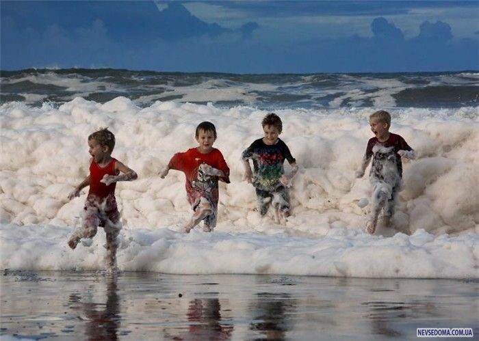 Прикольные картинки (228 фото)