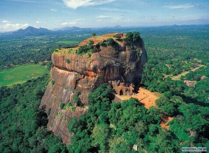 Прикольные картинки (228 фото)