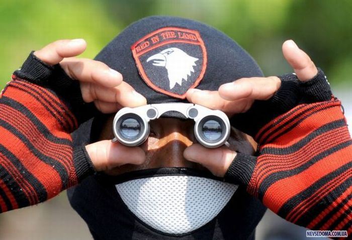 Прикольные картинки (228 фото)