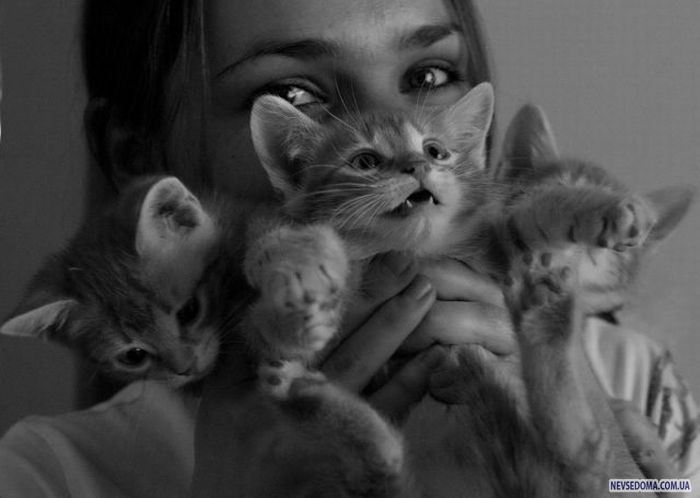 Прикольные картинки (228 фото)