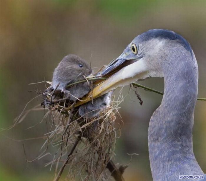 Прикольные картинки (228 фото)