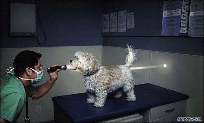 Прикольные картинки (201 фото)