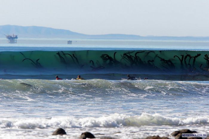 Прикольные картинки (201 фото)