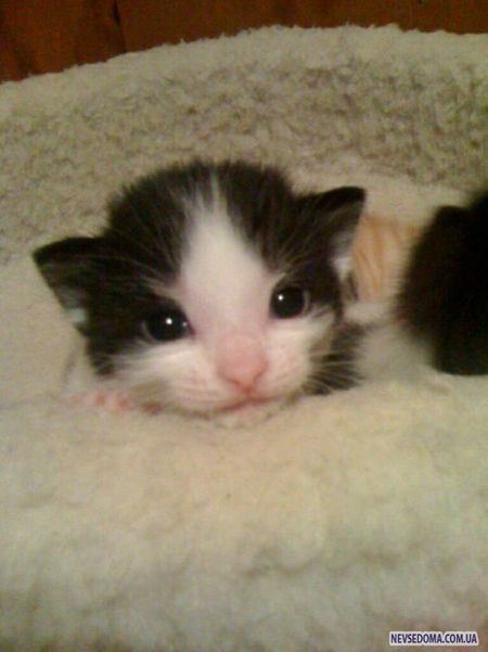 Прикольные картинки (201 фото)