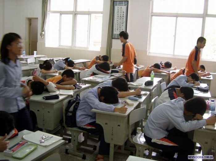 Прикольные картинки (201 фото)