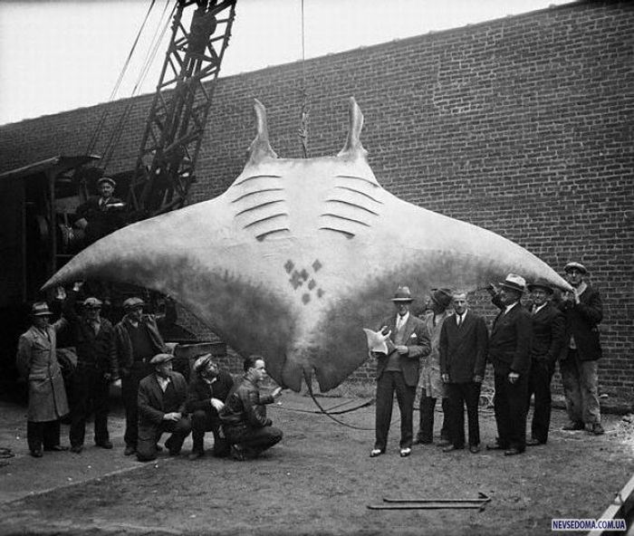 Прикольные картинки (201 фото)