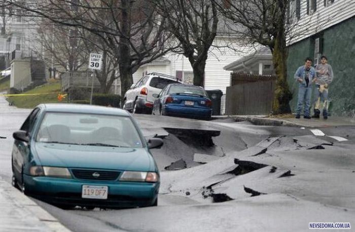 Прикольные картинки (201 фото)