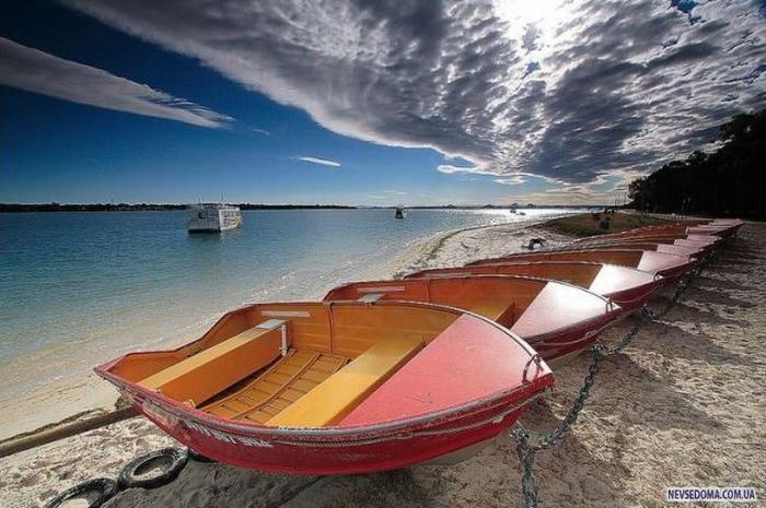 Прикольные картинки (201 фото)