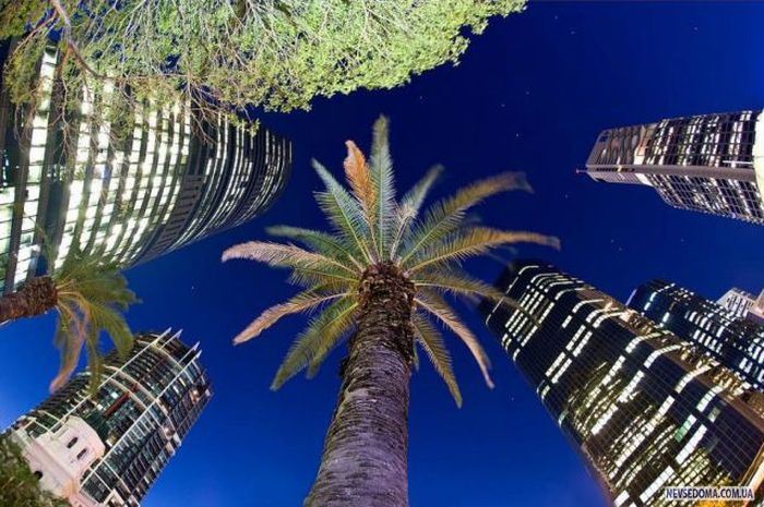 Прикольные картинки (201 фото)