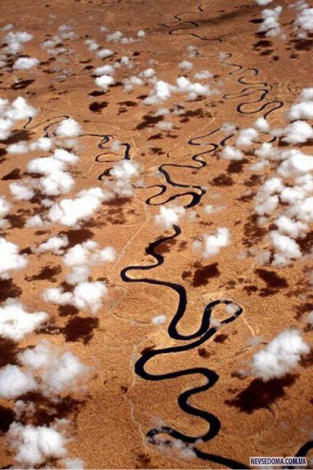 Прикольные картинки (201 фото)