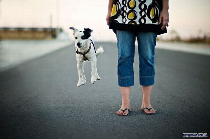 Прикольные картинки (201 фото)