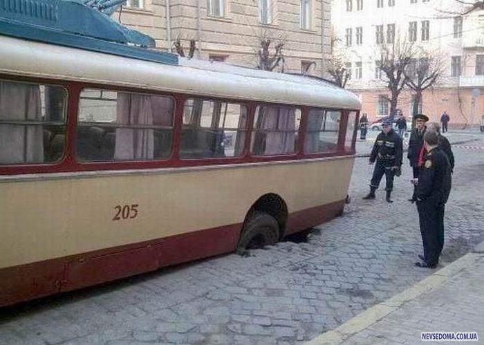 Прикольные картинки (201 фото)