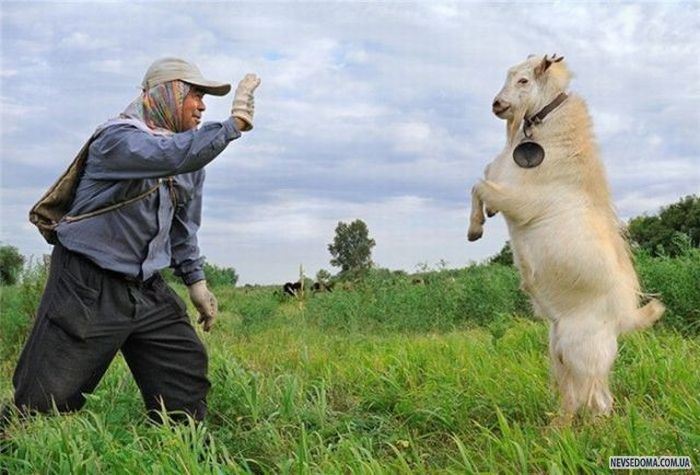 Прикольные картинки (201 фото)