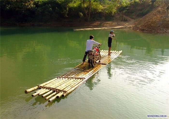 Прикольные картинки (201 фото)