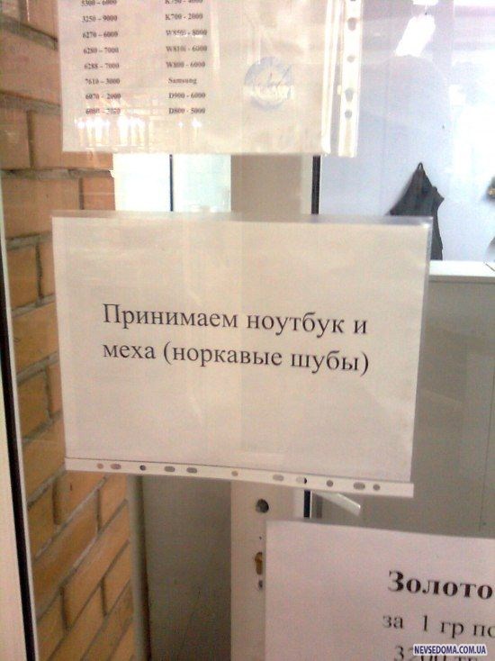 Прикольные картинки