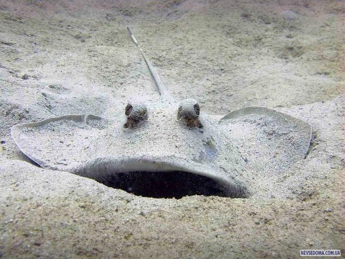 Прикольные картинки