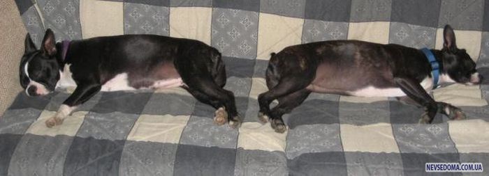 Прикольные картинки