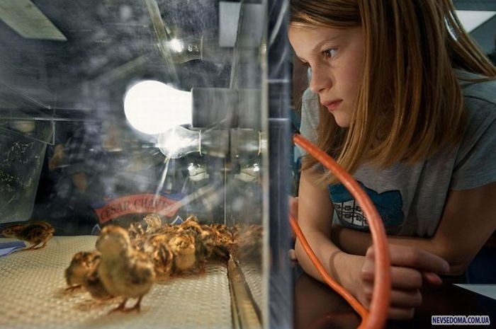 Прикольные картинки