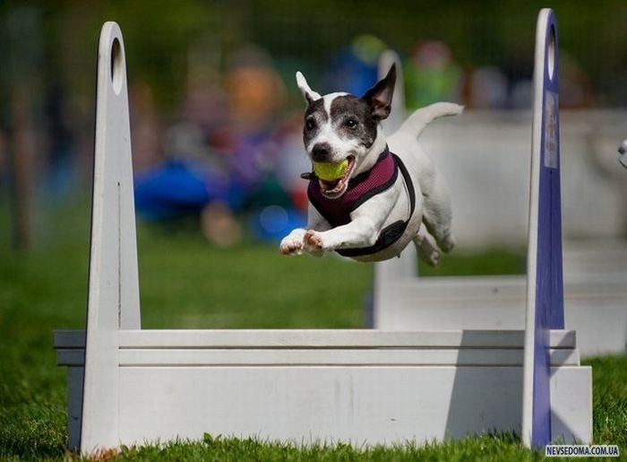 Прикольные картинки