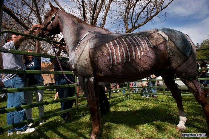 Прикольные картинки