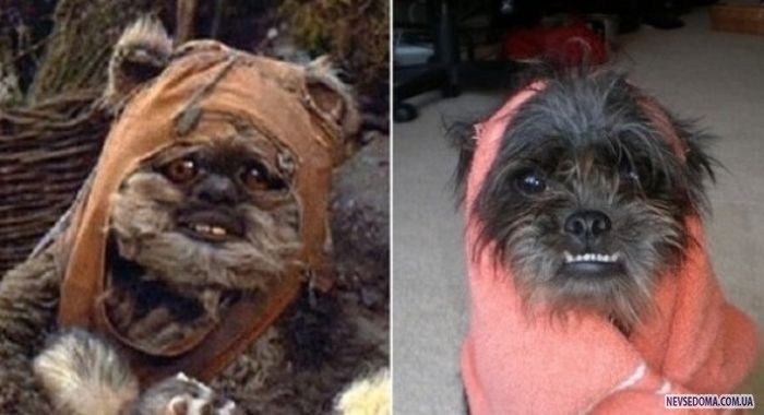 Прикольные картинки