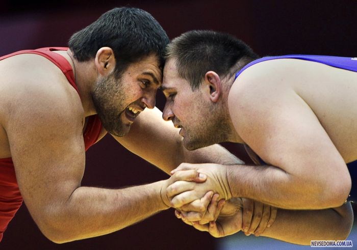 Прикольные картинки