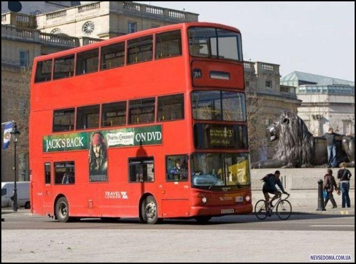 Прикольные картинки