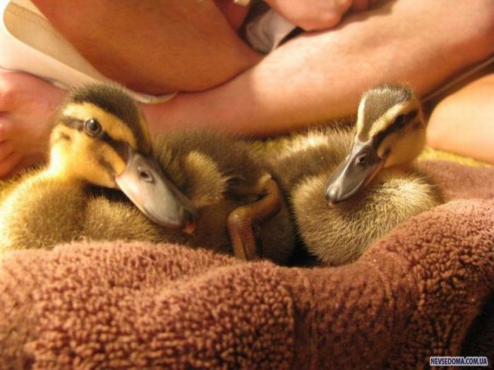 Прикольные картинки