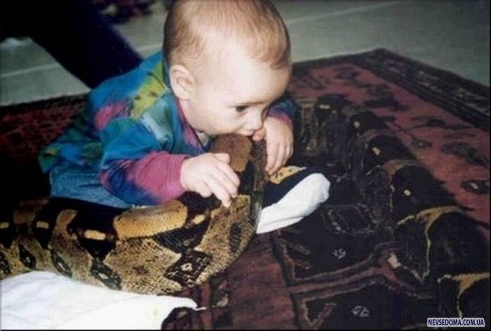 Прикольные картинки