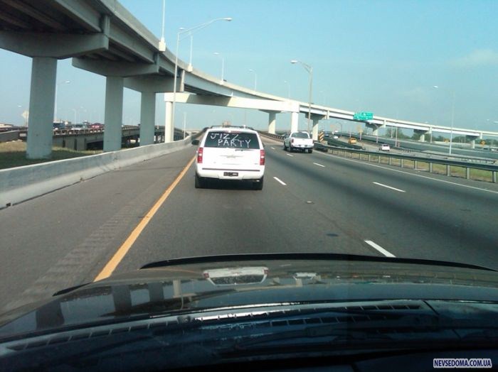 Прикольные картинки