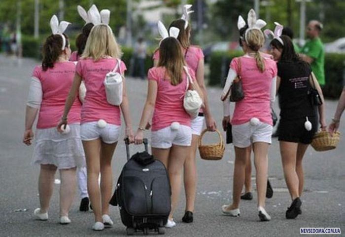 Прикольные картинки