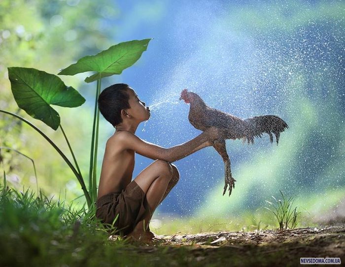 Прикольные картинки