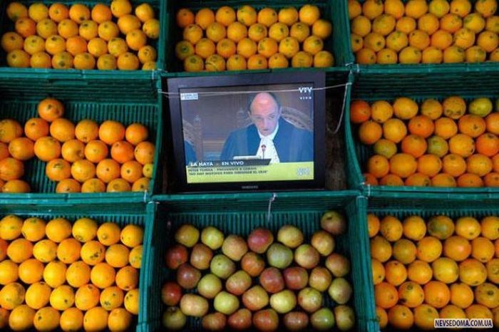 Прикольные картинки