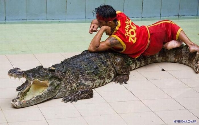 Прикольные картинки